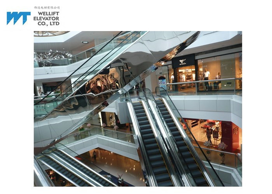Leisten sich Glaseinkaufszentrum-Rolltreppe kundengebundene Handlauf-Farbe 6000 Passagiere pro Minute