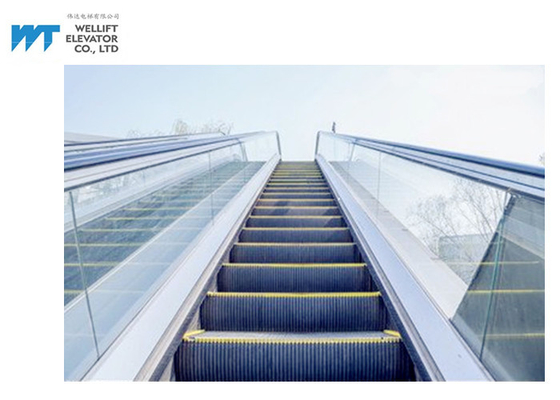 Balustraden-Rolltreppe des Glas-/Edelstahl im Freien mit Kamm-Platten-Sicherheitsvorrichtungen